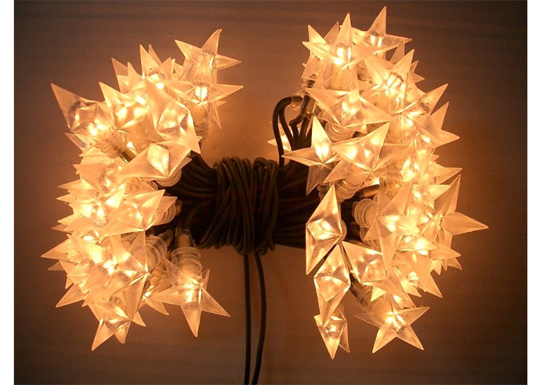 Kerstverlichting voor binnen 50 lamp 4,9 mtr wit Bulinex 31-522