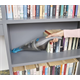 Kruimeldief BlackDecker NVC215WA
