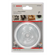 Gatenzaag. Bosch BIM Progressor
