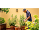Dompelpomp Bosch GardenPump 18