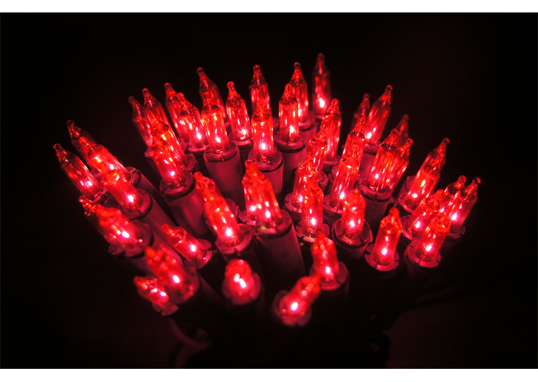 Kerstverlichting voor binnen 100 x purper gekleurde LED 4,9 mtr Bulinex 30-183