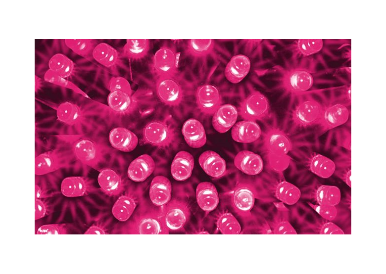 Kerstverlichting voor binnen 100 LED 9,9 mtr Bulinex 37-194