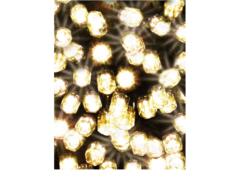 Kerstverlichting voor buiten 100 x LED wit 9,9 mtr Bulinex 38-128