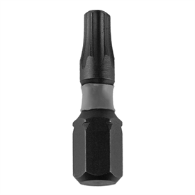 Slagschroevendraaier bits T15x25mm, 10st. Dedra 18A53T150-10