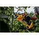 Snoeischaar - Accu DeWalt DCMPP568P1