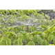 Sproeier 360° Gardena 13322-20
