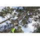 Telescoop Kettingzaag Greenworks G40PSF