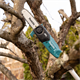 Telescoop Kettingzaag Makita DUA200Z01