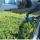 Heggenschaar Makita DUH751Z