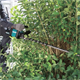 Heggenschaar Makita XGT UH004GZ