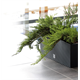 Bloempot Rato Case antraciet Prosperplast DRTC600-S433