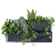 Verticale tuin 3 SET - antraciet  Prosperplast IO3W800-S433