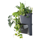 Verticale tuin 3 SET - antraciet  Prosperplast IO3W800-S433