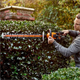 Heggenschaar Worx Power Share WG284E.9
