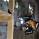 Slagschroevendraaier Worx Power Share WX291.9