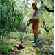Grastrimmer - accu Worx WG173E.9