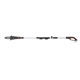 Telescoop Kettingzaag Worx WG349E.9